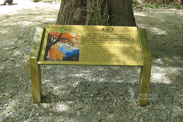 旅游景區標識設計